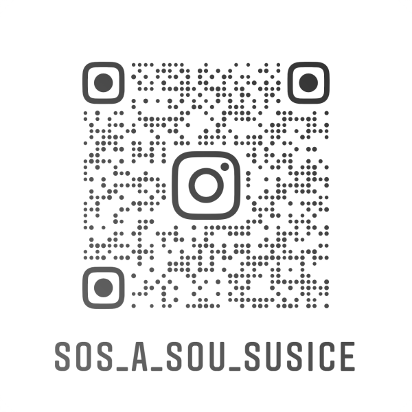 Skolni IG - QR